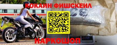 крисы Нальчик