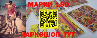 крисы Нальчик