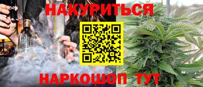 крисы Нальчик