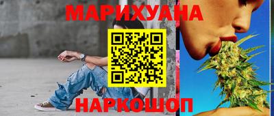 крисы Нальчик