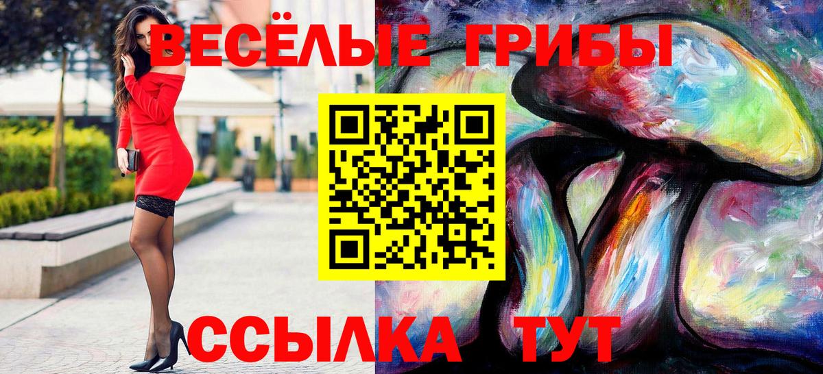 Галлюциногенные грибы Cubensis Северск