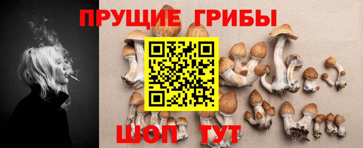 Псилоцибиновые грибы ЛСД  закладки  Северск  Вход с VPN 