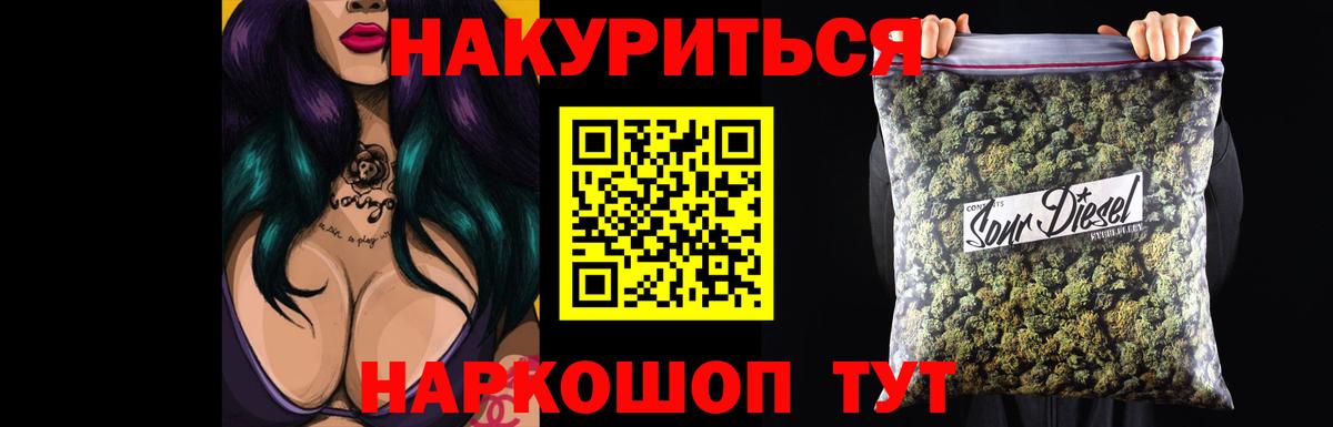 Бошки Шишки планчик Северск